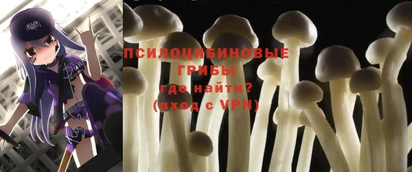 прущие грибы Алексин