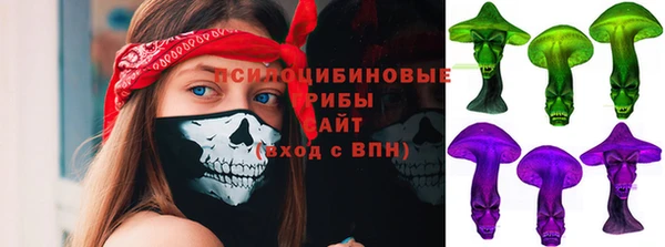 твердый Елизово