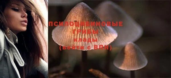 эйфоретик Алзамай