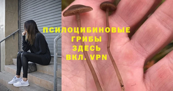 прущие грибы Алексин