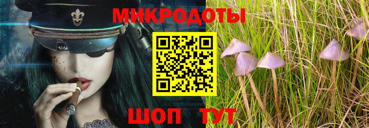Галлюциногенные грибы Cubensis  Вход с VPN  Морозовск 