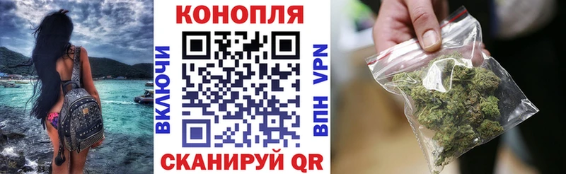 закладки Морозовск Конопля сатива